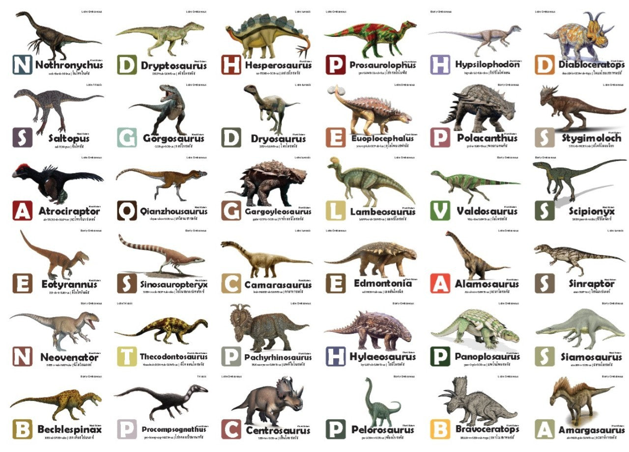 Flash Cards: World of Dinosaurs