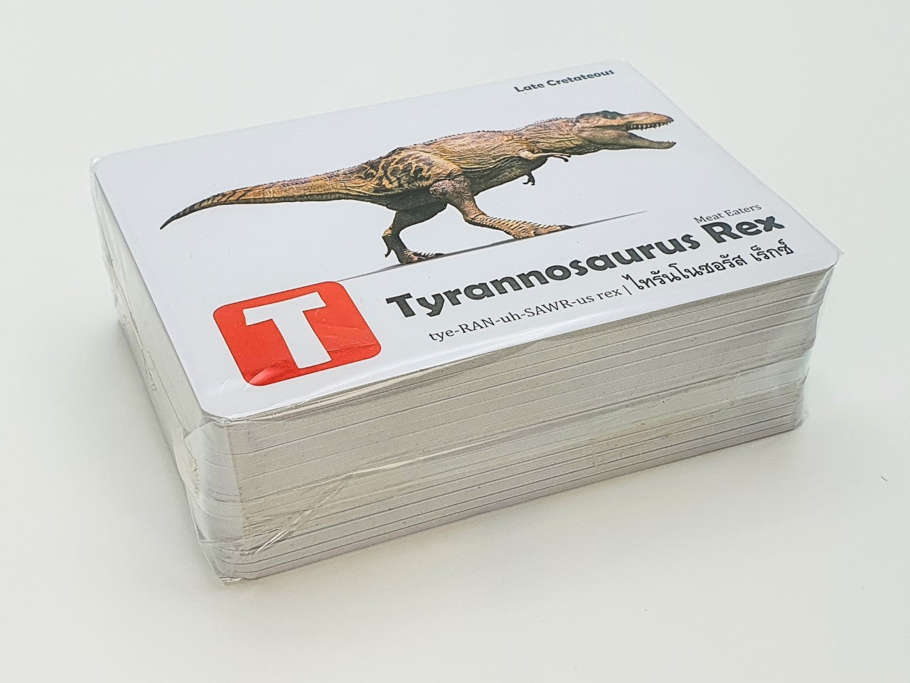 Flash Cards: World of Dinosaurs