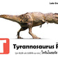 Flash Cards: World of Dinosaurs