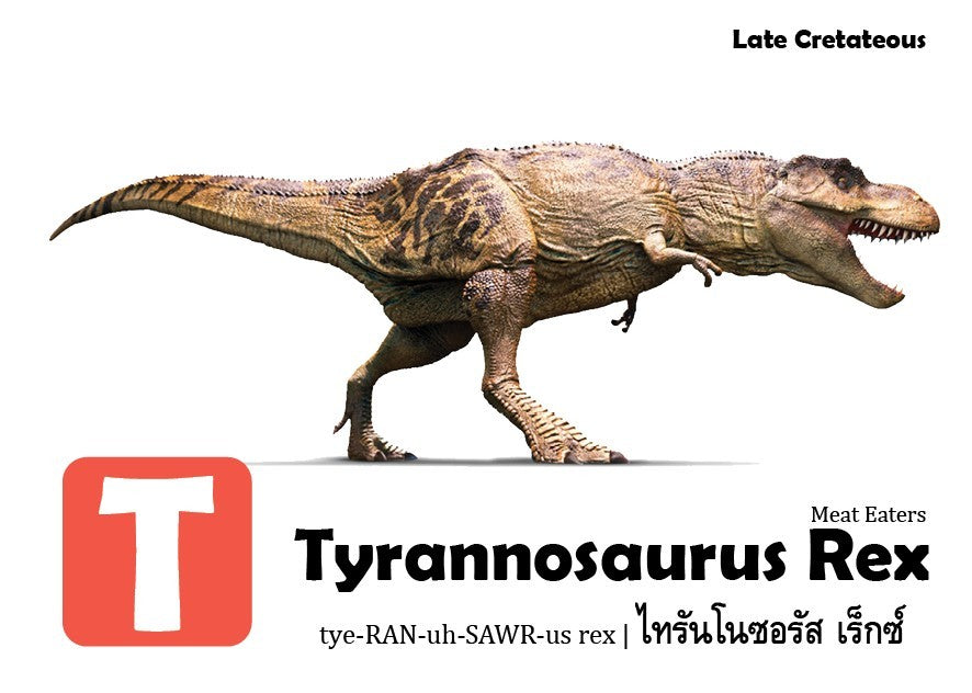 Flash Cards: World of Dinosaurs