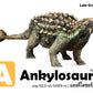 Flash Cards: World of Dinosaurs