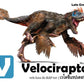 Flash Cards: World of Dinosaurs