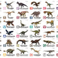 Flash Cards: World of Dinosaurs