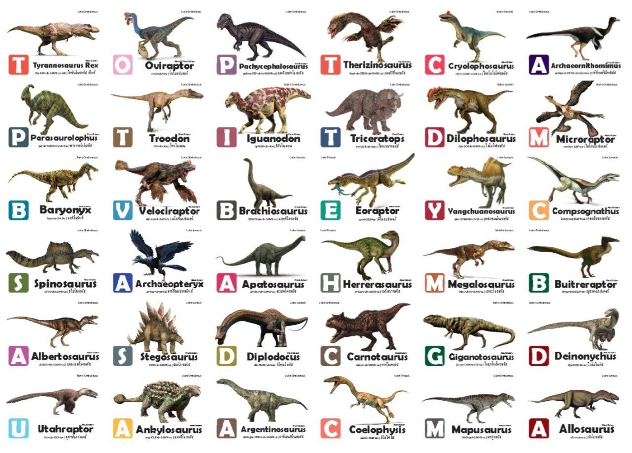 Flash Cards: World of Dinosaurs