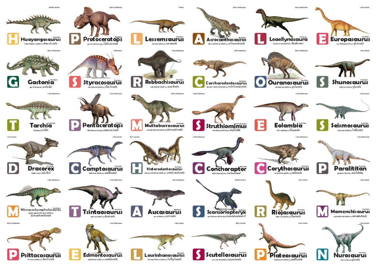 Flash Cards: World of Dinosaurs