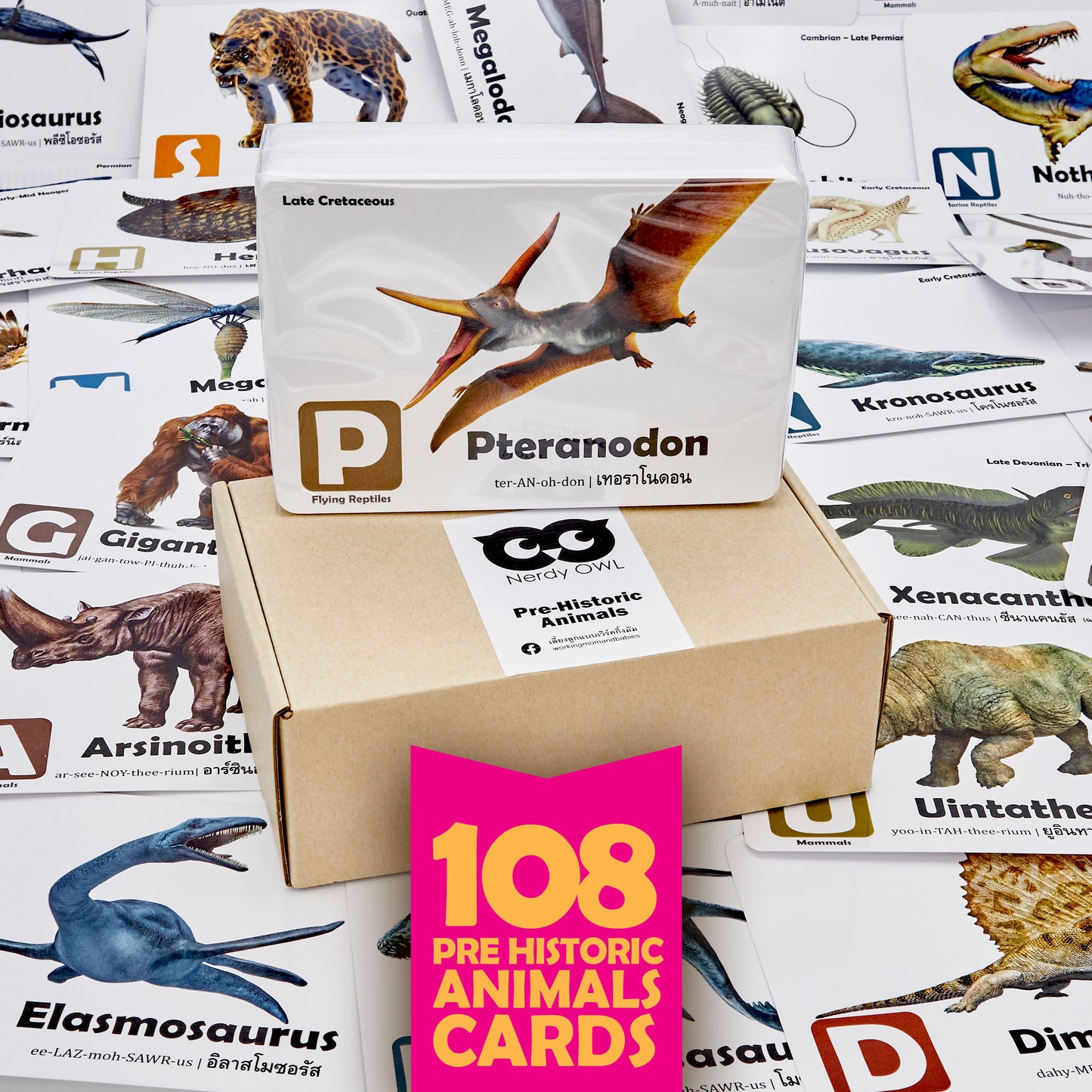 Flash Cards: Pre-Historic Animals