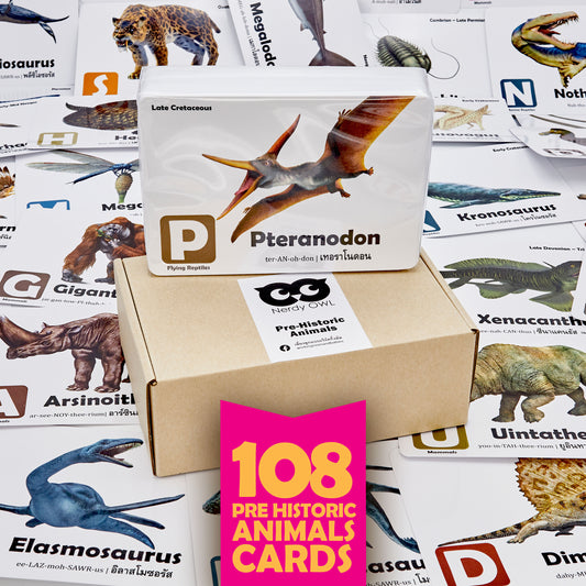 Flash Cards: Pre-Historic Animals