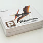 Flash Cards: Pre-Historic Animals
