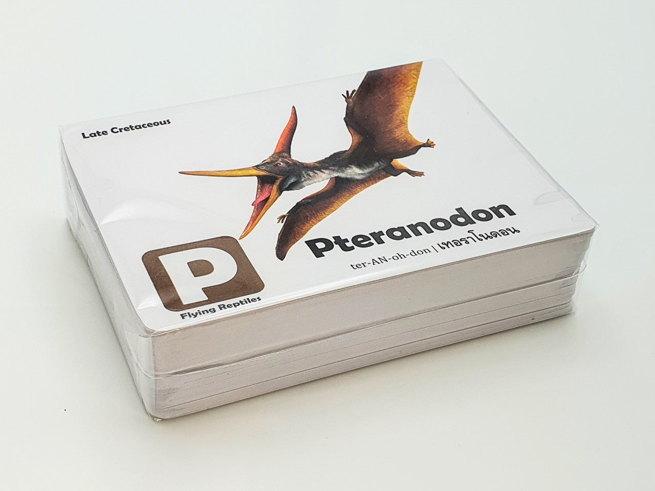 Flash Cards: Pre-Historic Animals