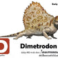 Flash Cards: Pre-Historic Animals