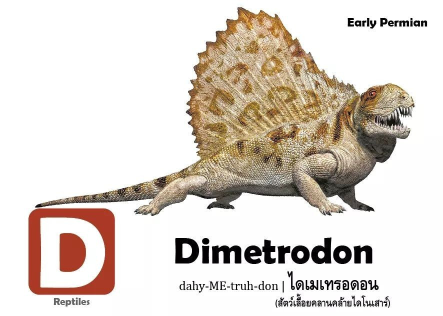 Flash Cards: Pre-Historic Animals