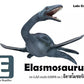 Flash Cards: Pre-Historic Animals