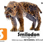 Flash Cards: Pre-Historic Animals