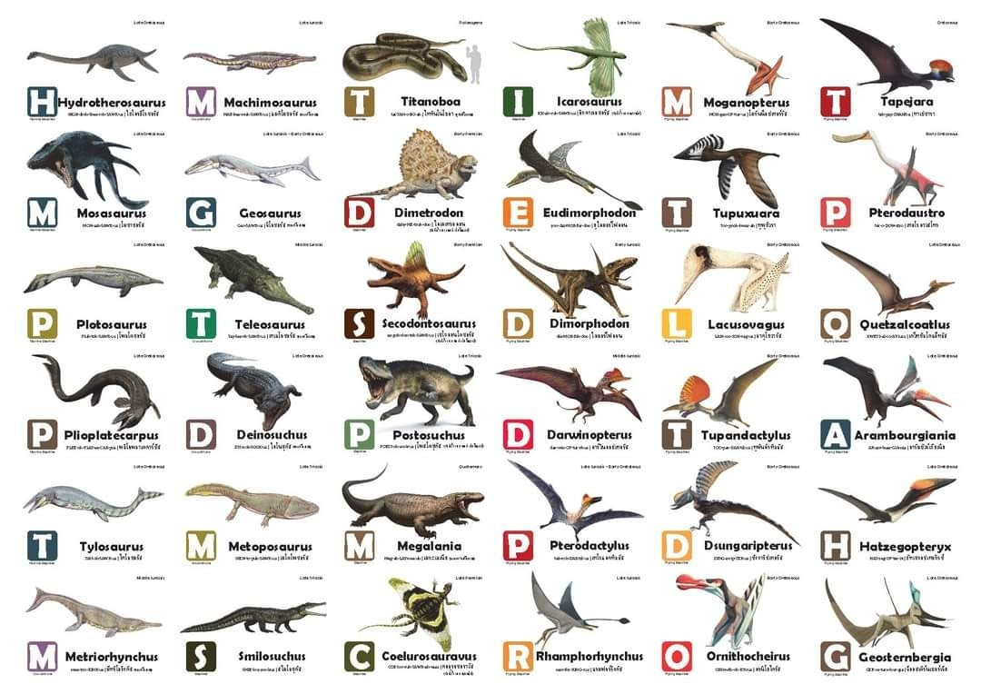 Flash Cards: Pre-Historic Animals