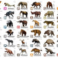 Flash Cards: Pre-Historic Animals