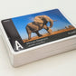 Flash Cards: Wild Animals