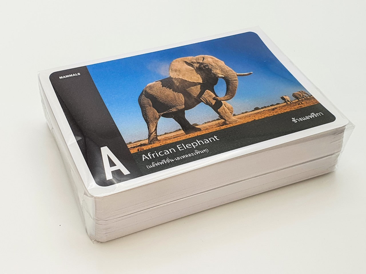 Flash Cards: Wild Animals