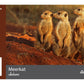 Flash Cards: Wild Animals