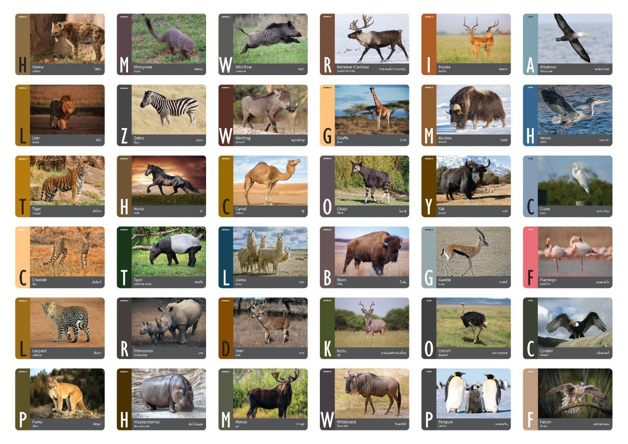 Flash Cards: Wild Animals