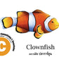 Flash Cards: Sea Creatures
