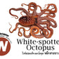 Flash Cards: Sea Creatures