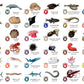 Flash Cards: Sea Creatures