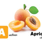 Flash Cards: World Garden of Fruits