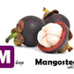 Flash Cards: World Garden of Fruits