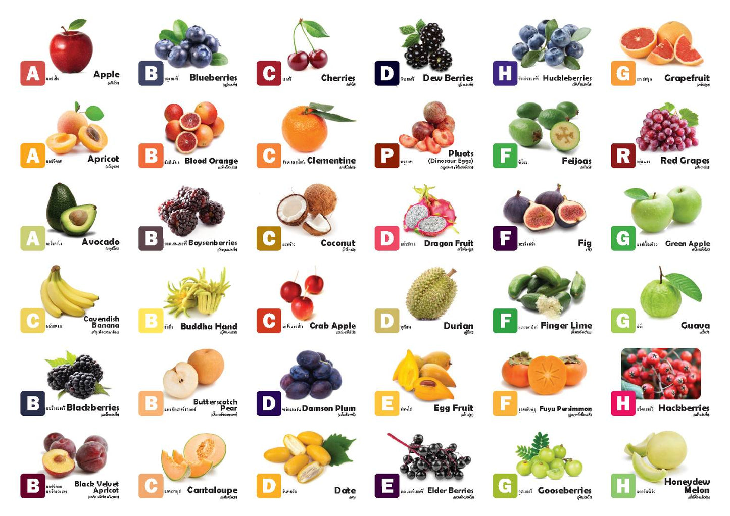 Flash Cards: World Garden of Fruits