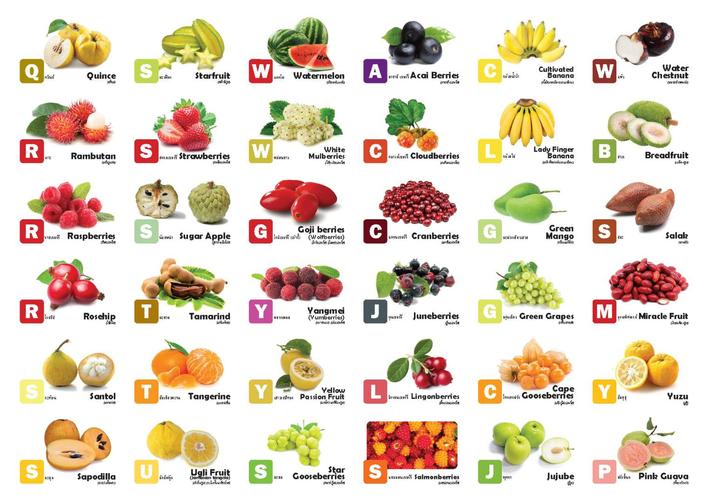 Flash Cards: World Garden of Fruits