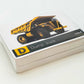 Flash Cards: Vehicles of the World
