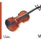 Flash Cards:  Musical Instruments