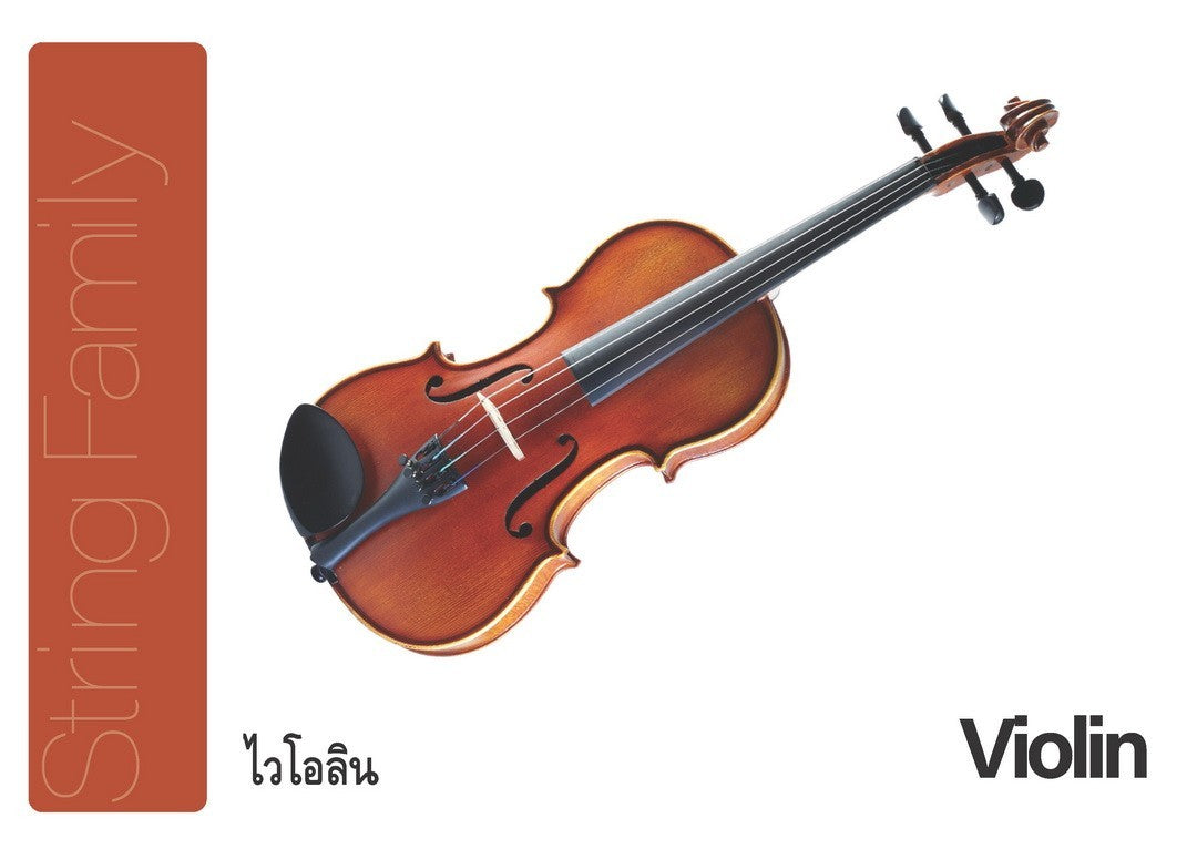 Flash Cards:  Musical Instruments