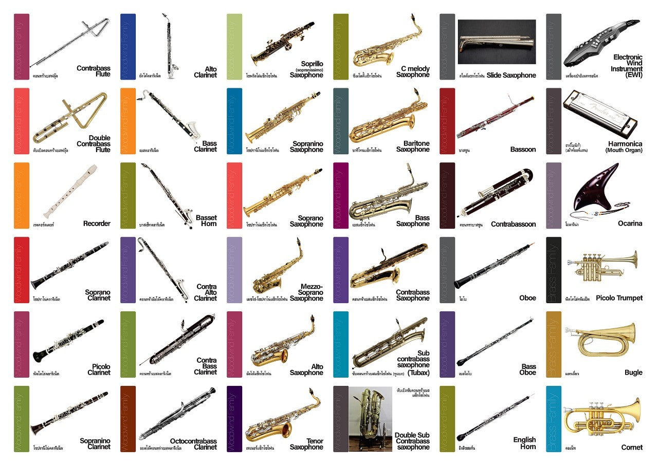 Flash Cards:  Musical Instruments