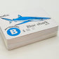 Flash Cards:  Sharks - Whales - Dolphins