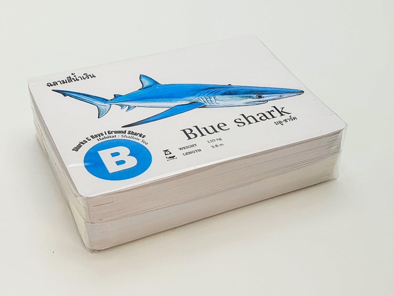 Flash Cards:  Sharks - Whales - Dolphins