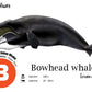 Flash Cards:  Sharks - Whales - Dolphins