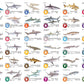 Flash Cards:  Sharks - Whales - Dolphins