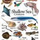 4-page Posters: Sea Creatures