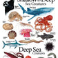 4-page Posters: Sea Creatures