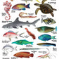 4-page Posters: Sea Creatures