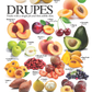 4-page Posters: World Garden of Fruits