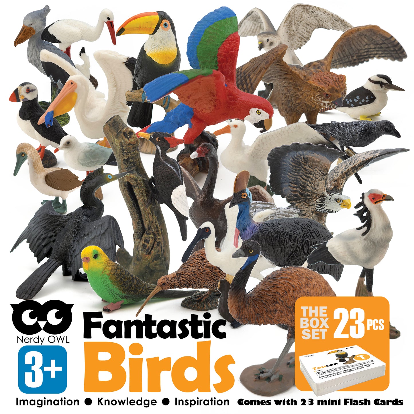 Toy Box Set: Fantastic Birds