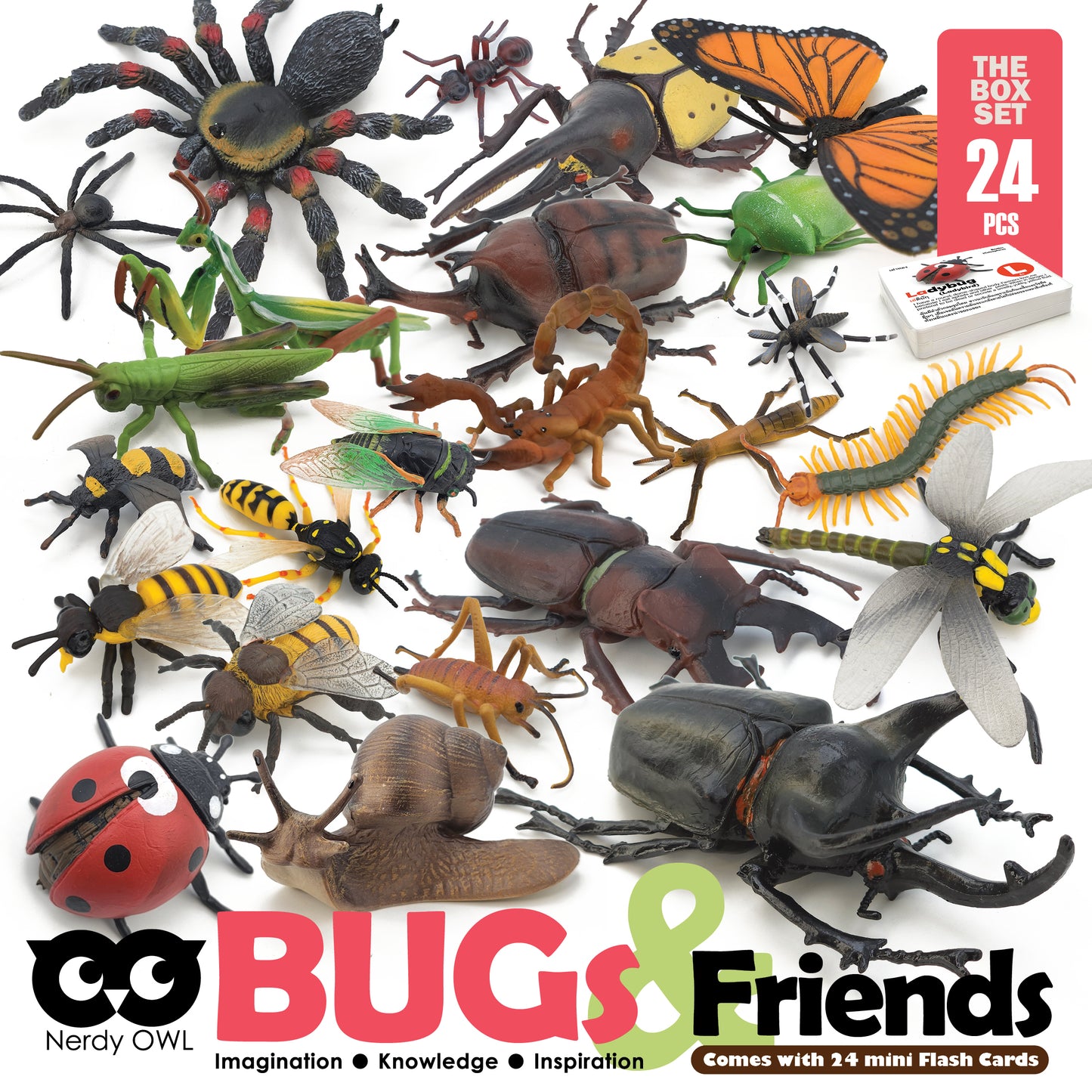 Toy Box Set: Bugs and Friends