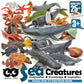 Toy Box Set: Sea Creatures
